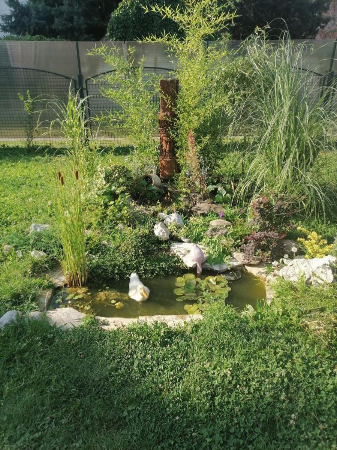Apartman Garden House Voždivac エクステリア 写真