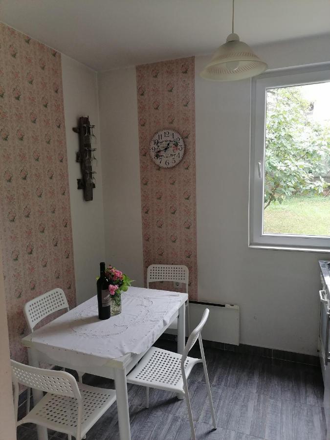 Apartman Garden House Voždivac エクステリア 写真